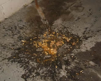 London Trauma Cleaning