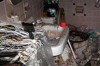 Hoarder Cleanup